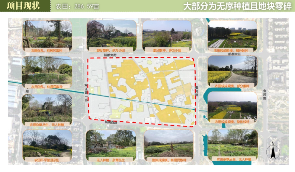 成都双流区翠竹海精品农业公园规划设计案_第6页