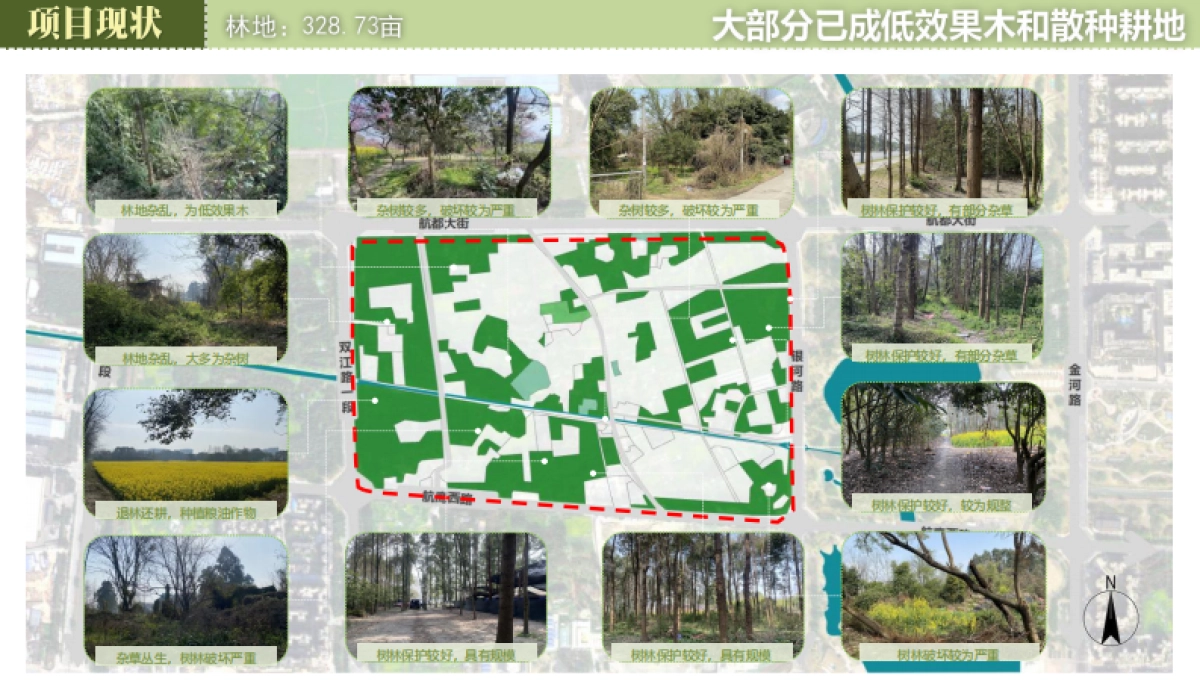 成都双流区翠竹海精品农业公园规划设计案_第7页