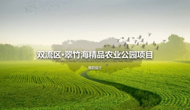 成都双流区翠竹海精品农业公园规划设计案