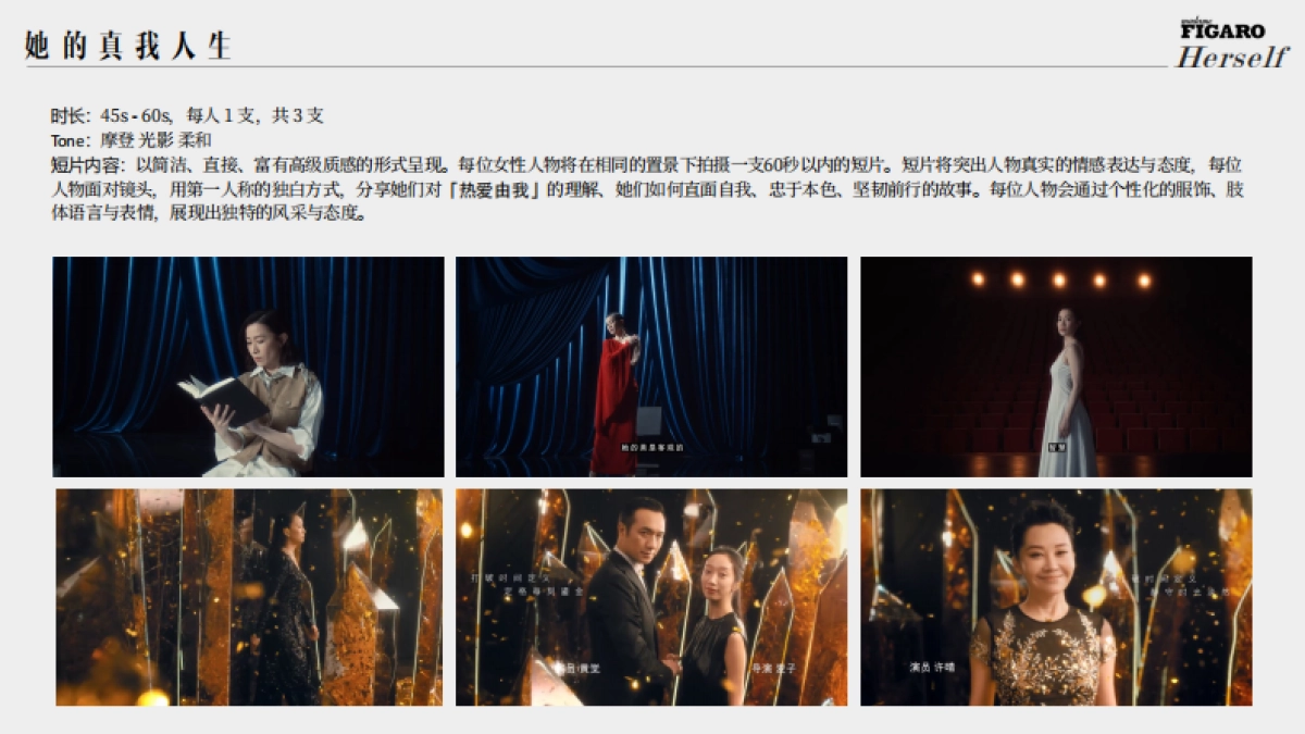 费加罗「热爱由我」力量盛典方案_第10页