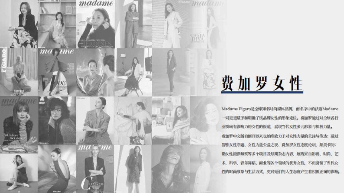 费加罗「热爱由我」力量盛典方案_第3页