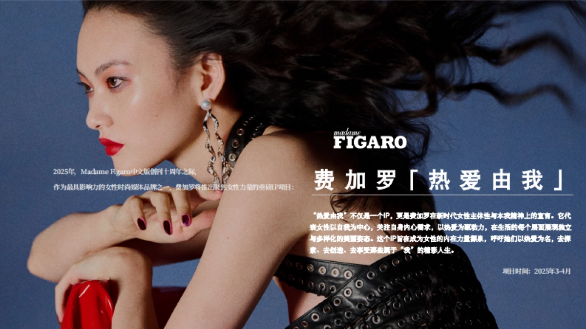 费加罗「热爱由我」力量盛典方案_第4页