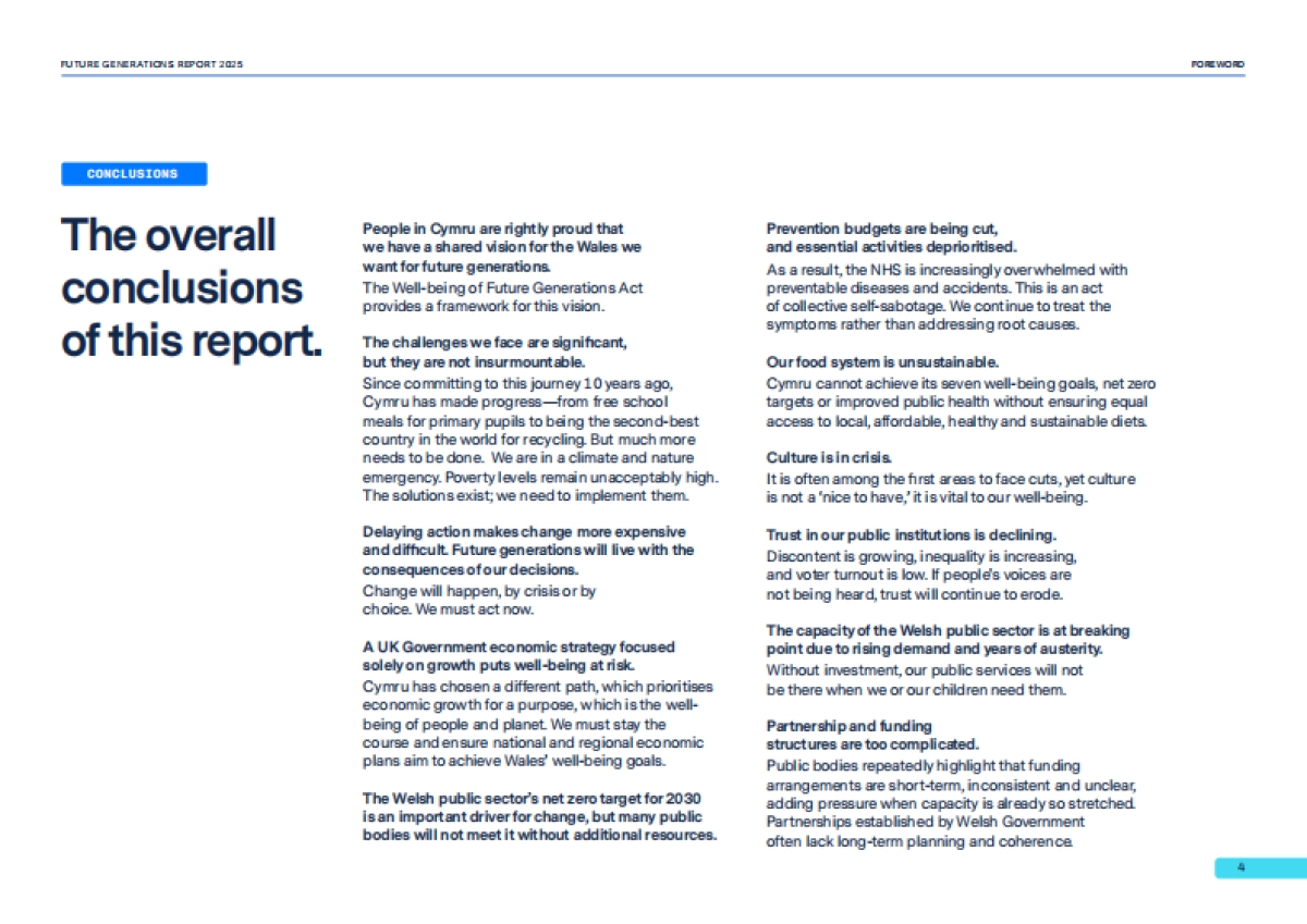 2025年未来世代报告_第4页