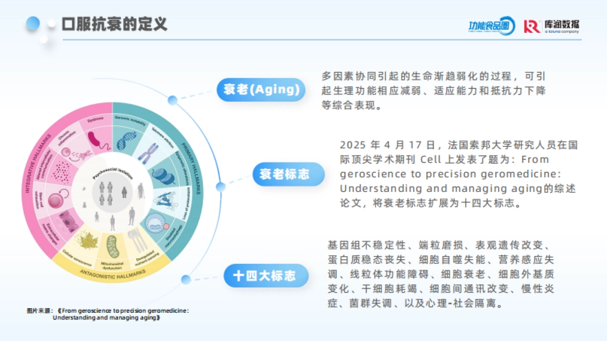 2025年口服抗衰消费者趋势洞察报告-库润数据_第5页
