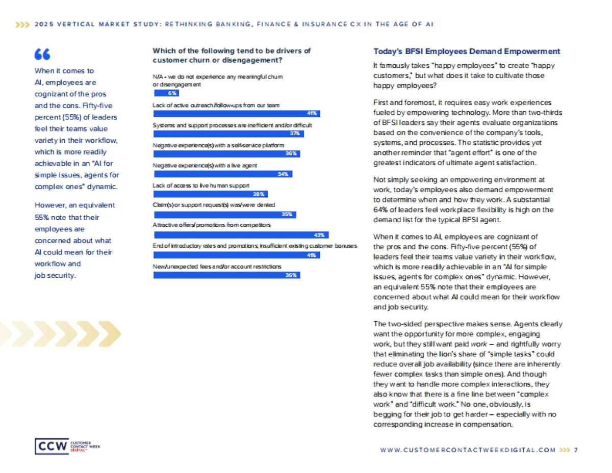 2025年人工智能时代对银行业、金融业及保险业客户体验的再思考研究报告（英文版）-CCW Digital_第7页