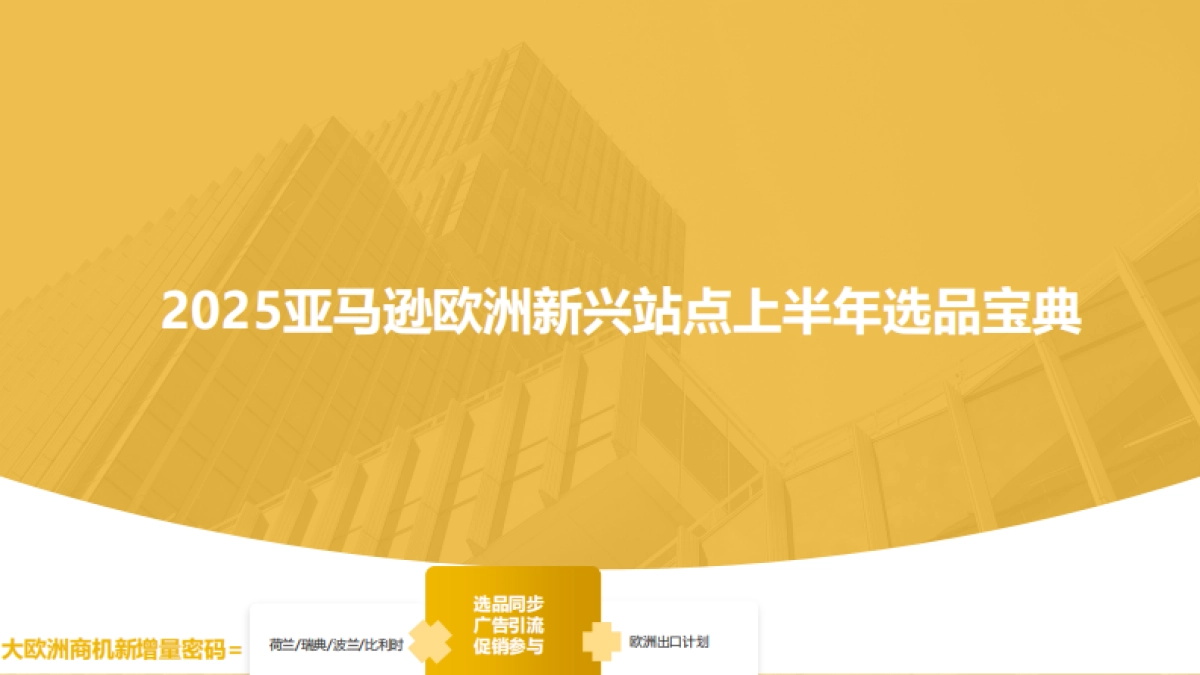 2025年亚马逊欧洲新兴站点上半年选品宝典-亚马逊全球开店_第1页