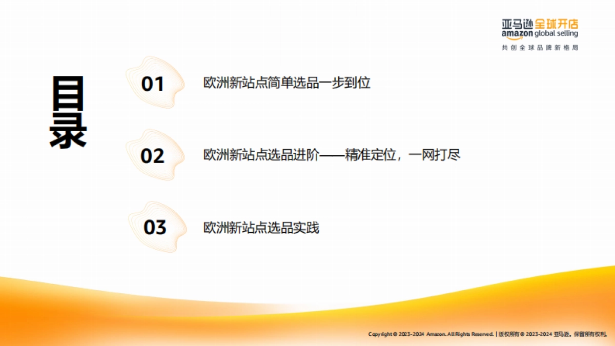 2025年亚马逊欧洲新兴站点上半年选品宝典-亚马逊全球开店_第2页