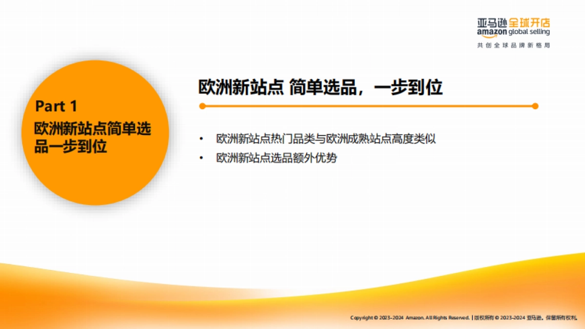 2025年亚马逊欧洲新兴站点上半年选品宝典-亚马逊全球开店_第3页