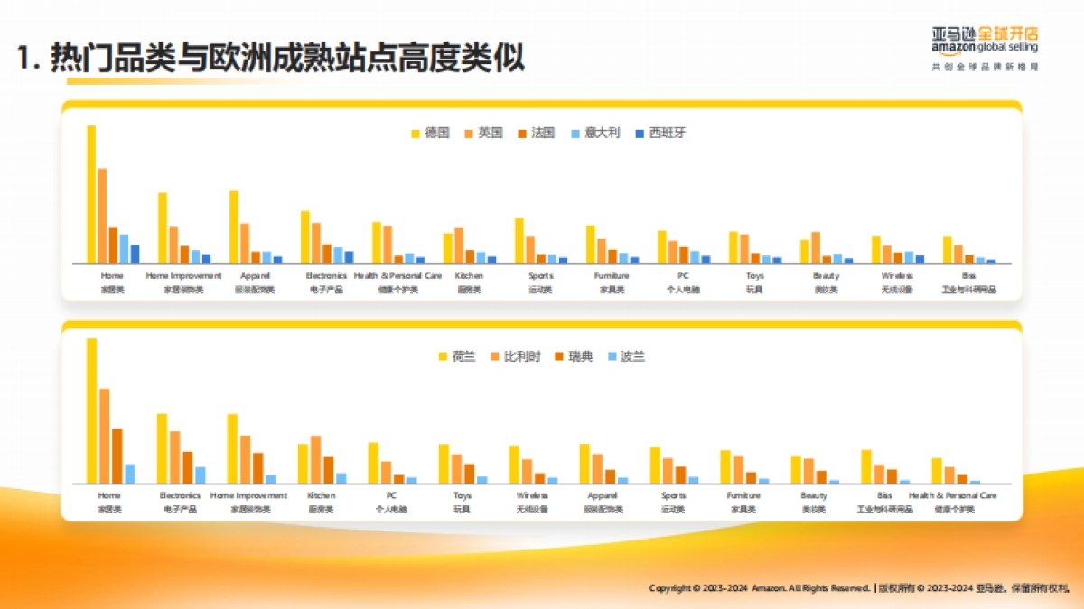 2025年亚马逊欧洲新兴站点上半年选品宝典-亚马逊全球开店_第4页
