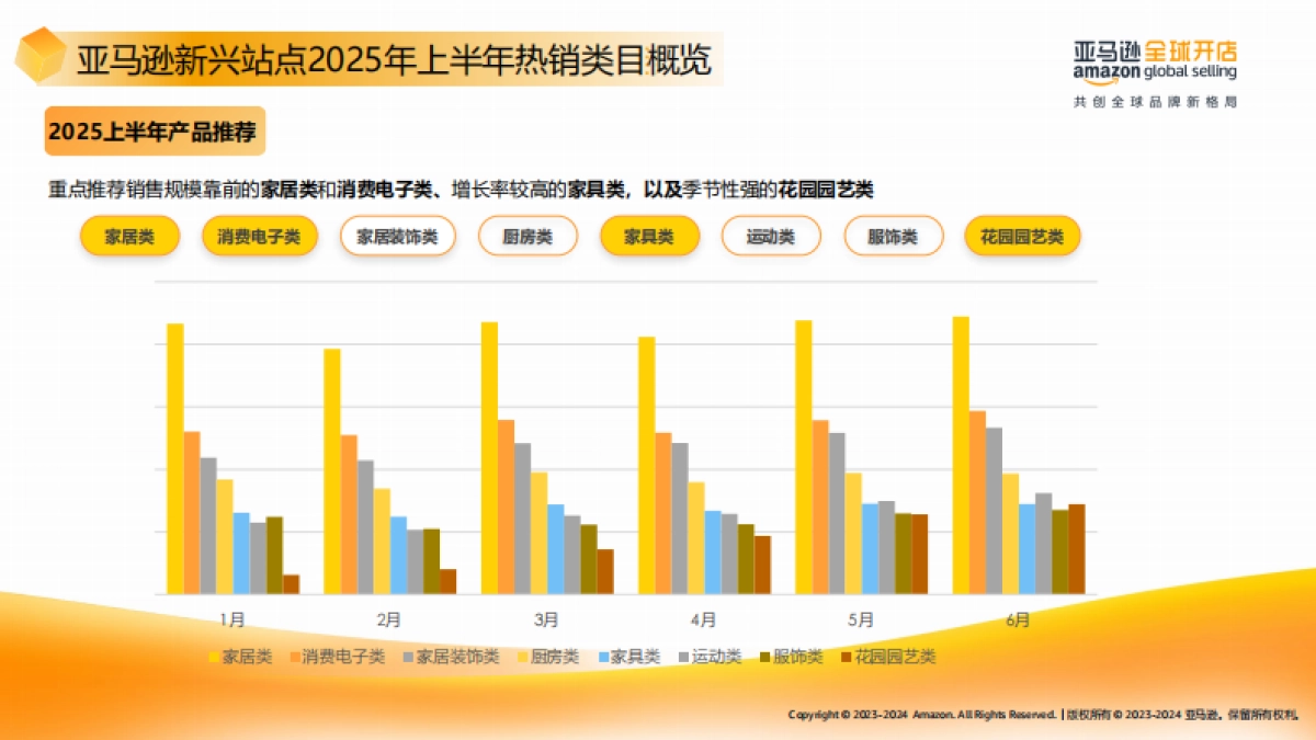 2025年亚马逊欧洲新兴站点上半年选品宝典-亚马逊全球开店_第9页