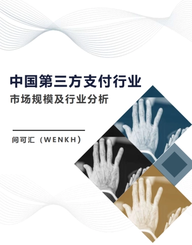 2025年中国第三方支付行业市场规模及行业分析报告-问可汇（WENKH）