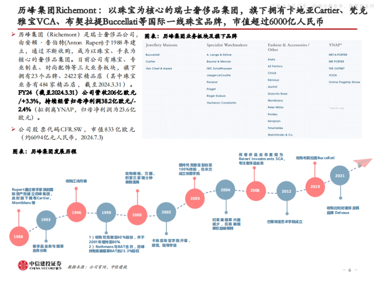 中信建投-奢侈品行业以历峰集团等为例-海外高奢珠宝研究:顶级品牌,有何不同?_第6页