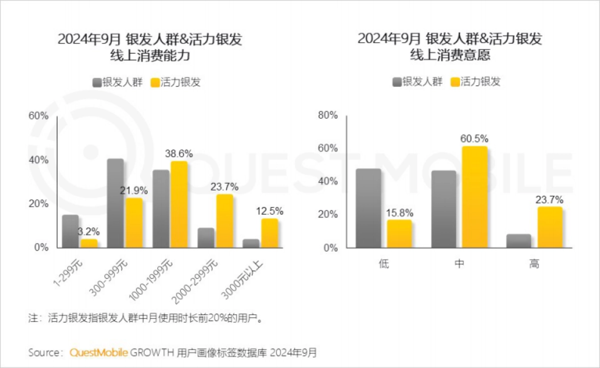 2024银发人群洞察报告-QuestMobile_第9页