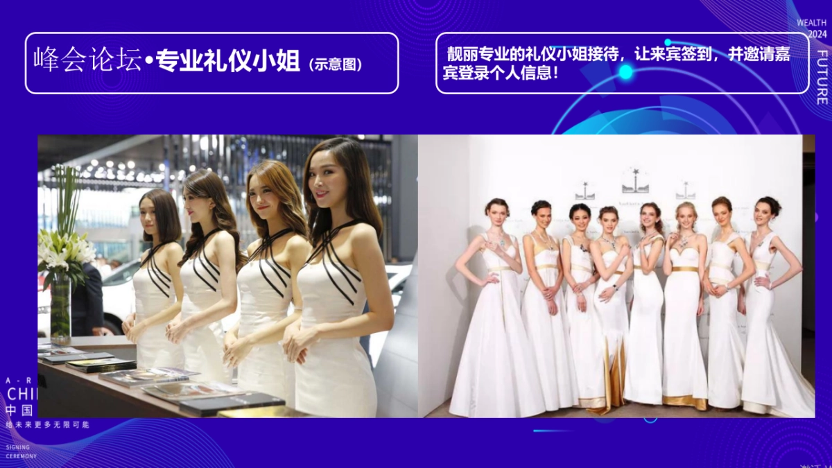 AI智能科技论坛科技峰会峰会论坛公共组织活动策划方案_第10页