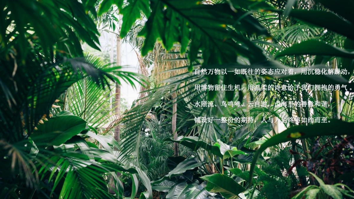 《云南西双版纳探秘》春季高端团建金融团建拓展活动策划方案_第2页