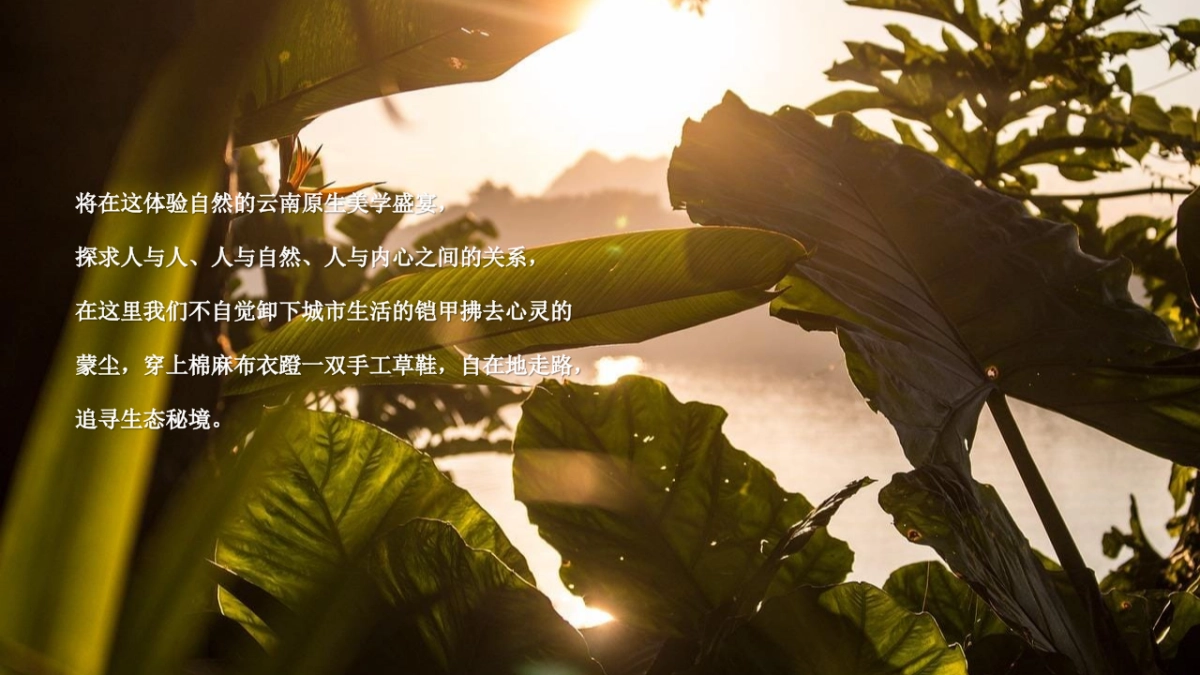 《云南西双版纳探秘》春季高端团建金融团建拓展活动策划方案_第3页