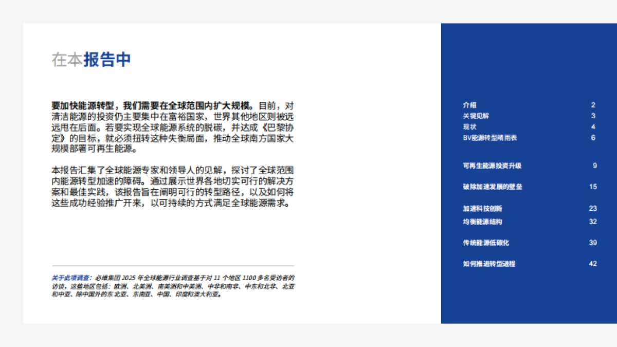 2025年全球能源转型报告_第2页