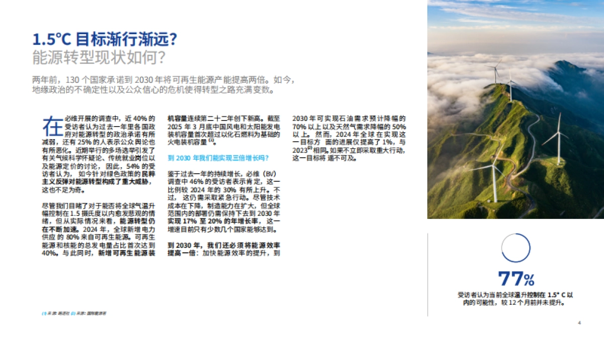 2025年全球能源转型报告_第5页