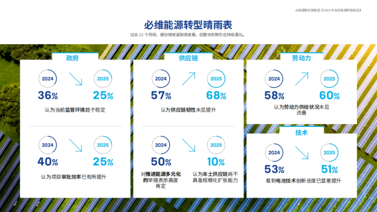 2025年全球能源转型报告_第7页