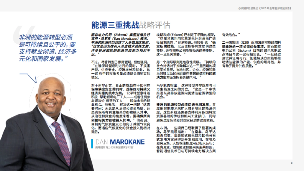 2025年全球能源转型报告_第9页