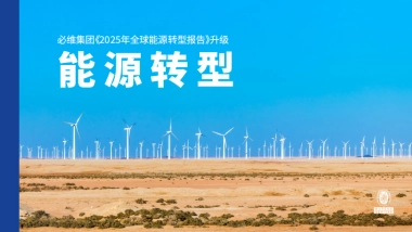 2025年全球能源转型报告