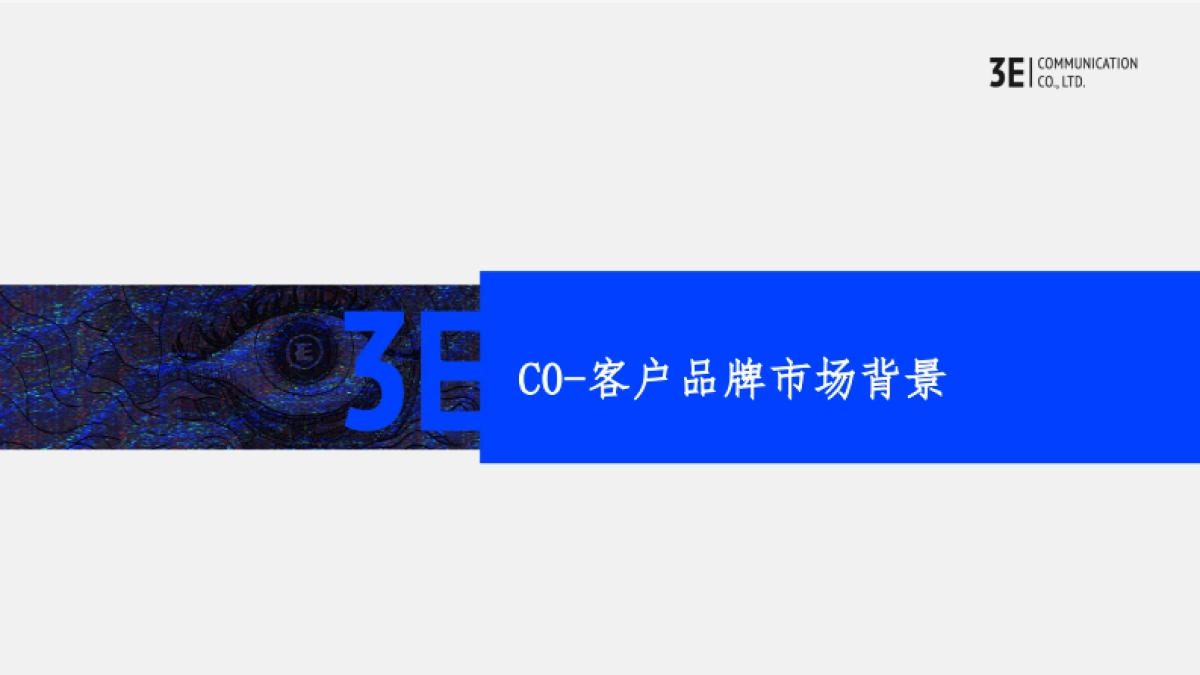 新疆房地产品牌推广策略方案_第8页