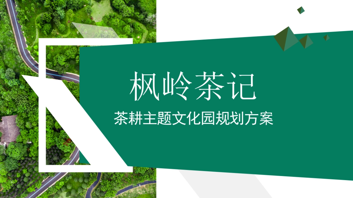 枫岭茶记茶耕主题文化园农文旅定位规划运营方案_第1页