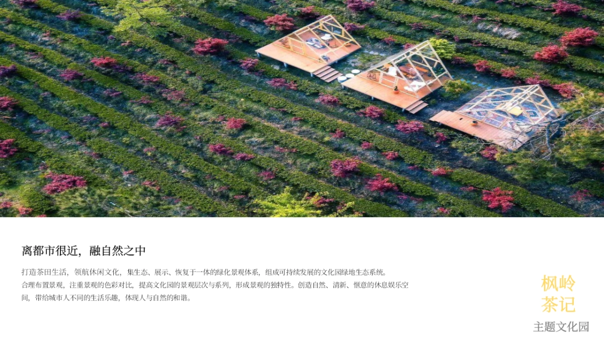 枫岭茶记茶耕主题文化园农文旅定位规划运营方案_第7页