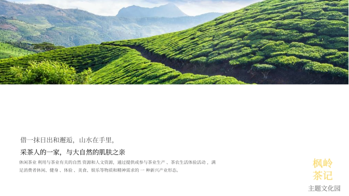 枫岭茶记茶耕主题文化园农文旅定位规划运营方案_第8页
