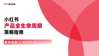 2025产品生命周期策略解析附案例版