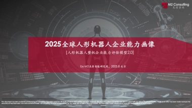 2025全球人形机器人企业能力画像整机能力评估模型V2.0