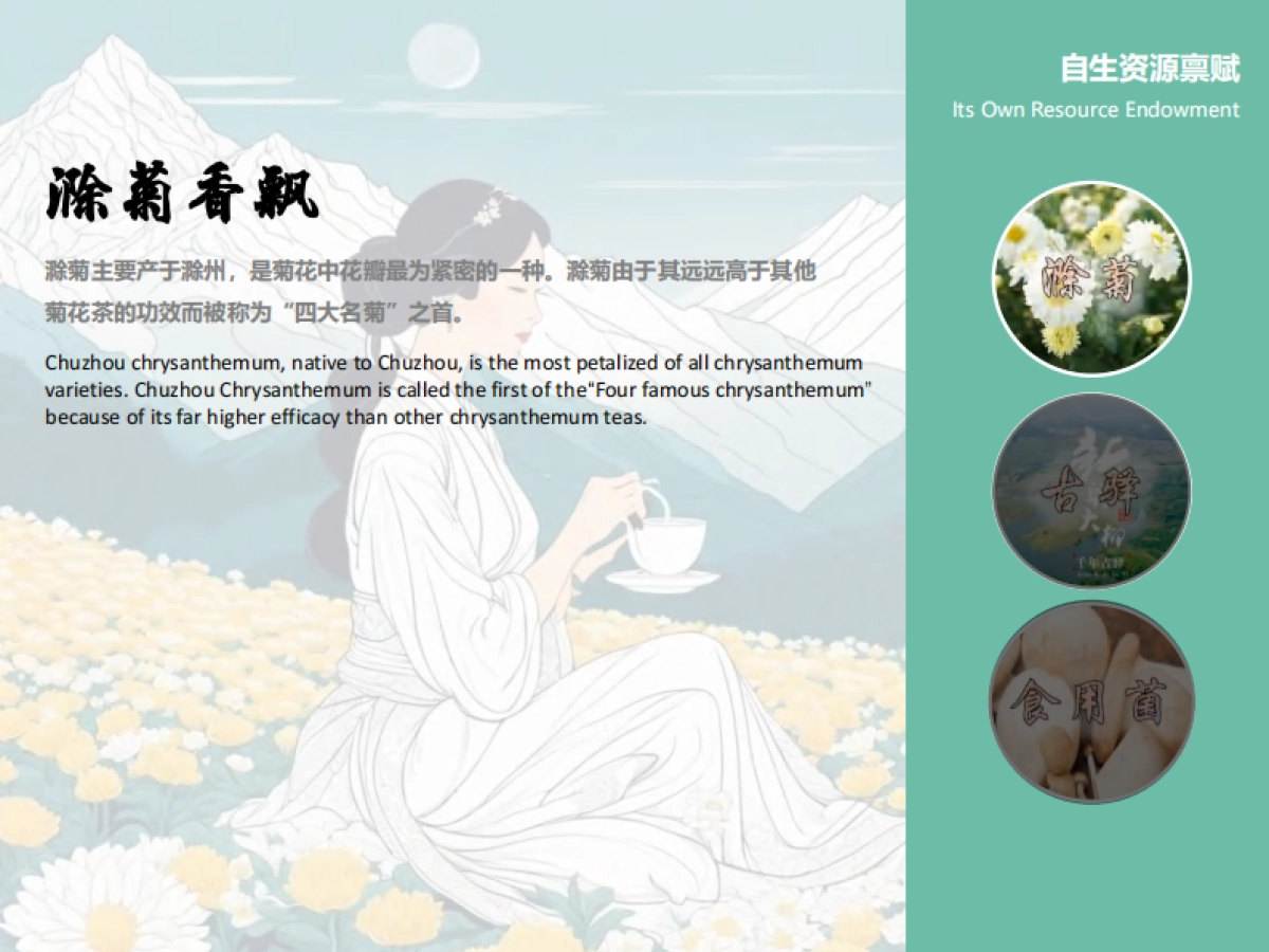 滁州市南谯区大柳镇曲亭赵巷村美乡村建设规划运营方案_第2页