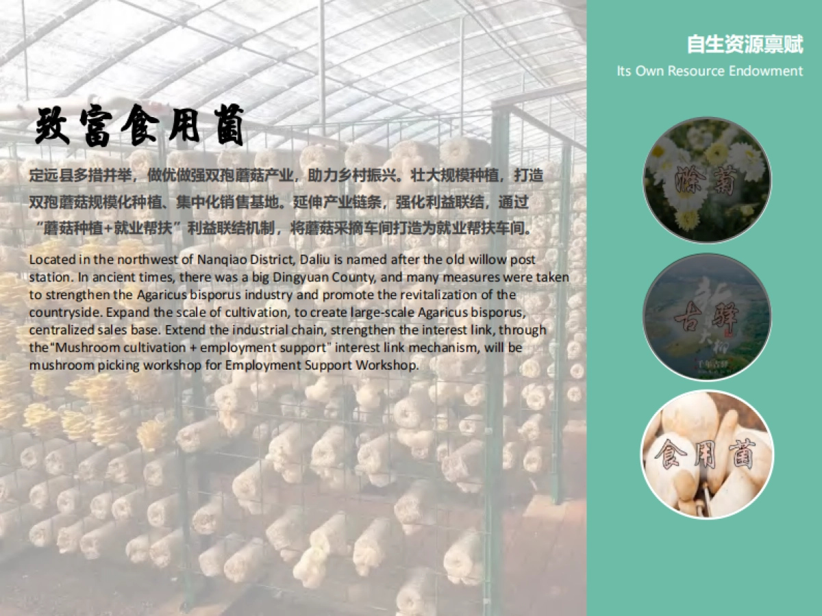 滁州市南谯区大柳镇曲亭赵巷村美乡村建设规划运营方案_第4页