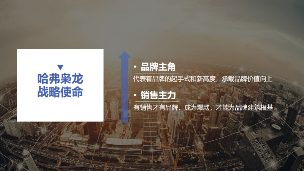 哈佛汽车整合营销专项方案_第7页