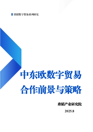 2025年数字贸易系列报告：中东欧数字贸易合作前景与策略-鼎韬产业研究院