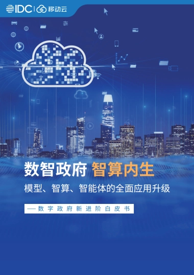 2025年数字政府新进阶白皮书-IDC