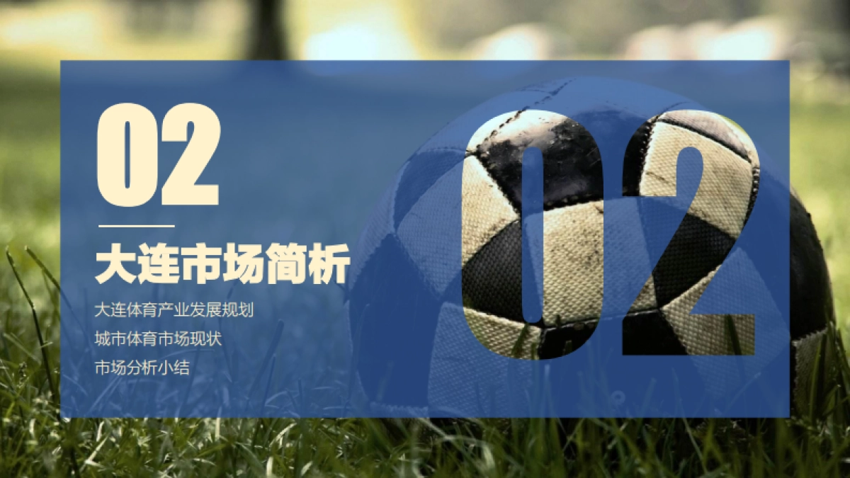 体育科创园升级发展规划_第9页