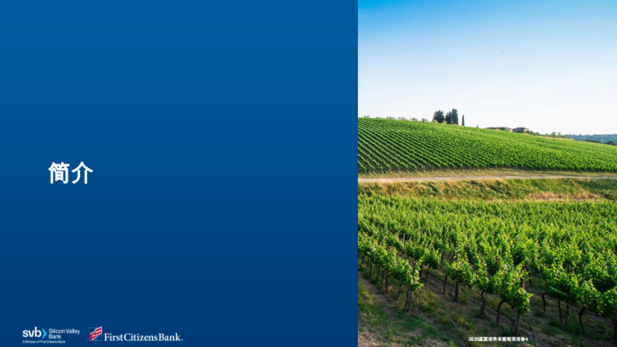 硅谷银行-葡萄酒行业：2025年直接面向消费者的葡萄酒报告_第4页