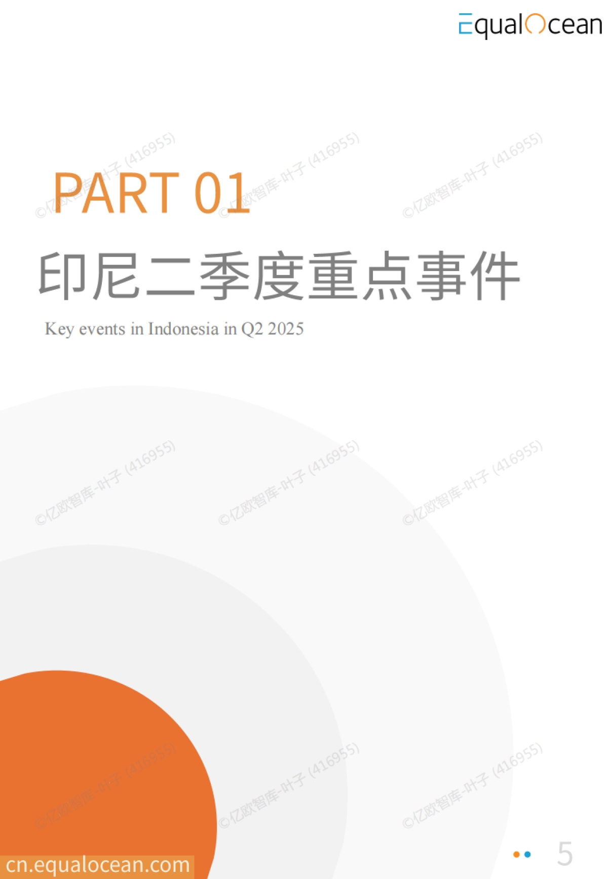 2025中国AI企业出海系列研究:印尼篇_第5页