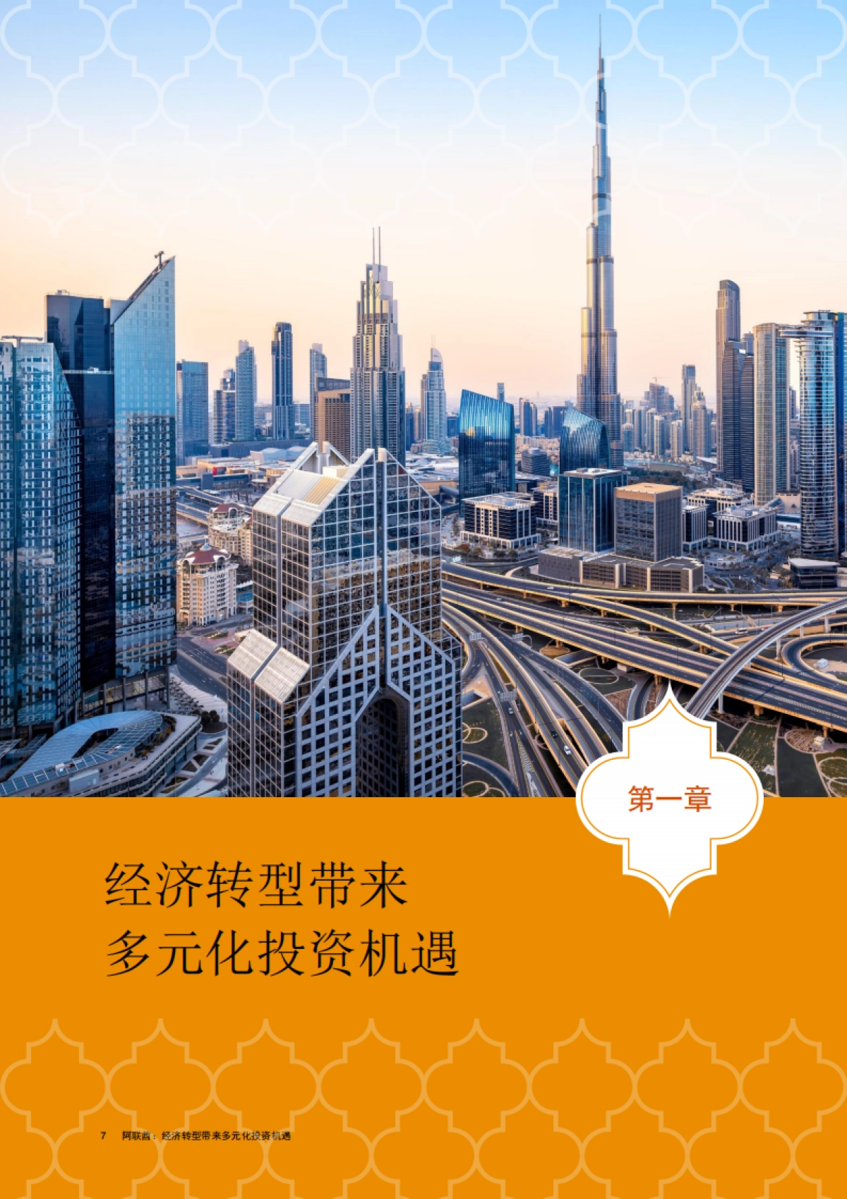 2025中国企业出海系列研究报告-阿联酋经济转型带来多元化投资机遇-普华永道_第8页