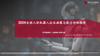2024全球人形机器人企业画像与能力评估-觅途咨询