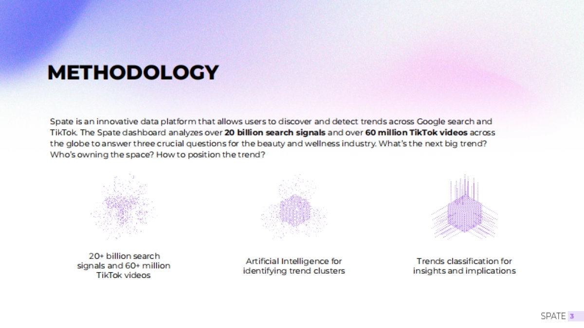 2025年头发报告:护理和造型产品(英文版)-Spate_第3页