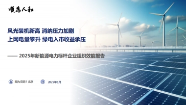 2025年新能源电力标杆企业组织效能报告-顺为咨询