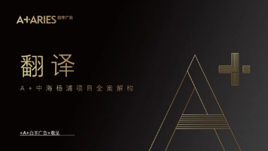 上海地产顶豪项目全案解构推广方案