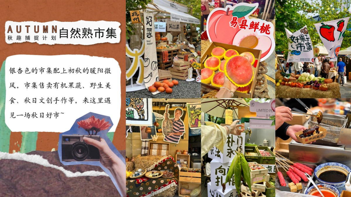 2025秋季露营市集音乐会「秋趣捕捉计划主题」活动策划方案_第10页