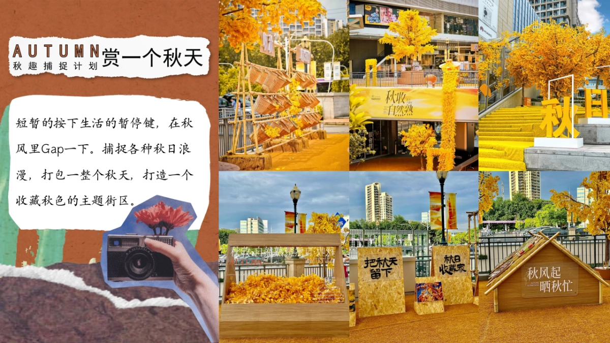 2025秋季露营市集音乐会「秋趣捕捉计划主题」活动策划方案_第9页