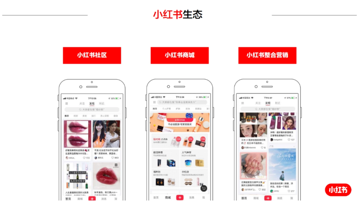 美妆品牌德宜芙小红书方案_第5页