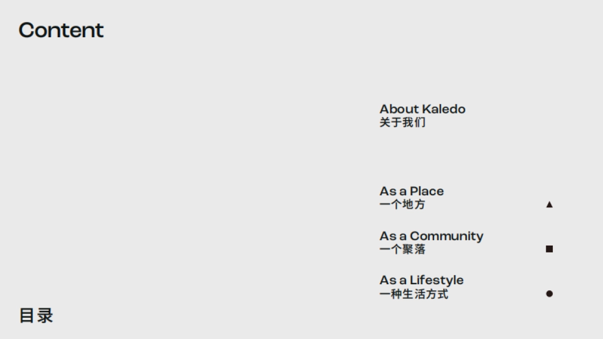 kaledo品牌手册_第2页