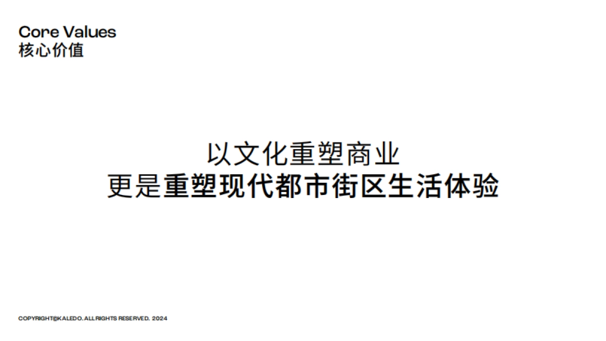 kaledo品牌手册_第6页