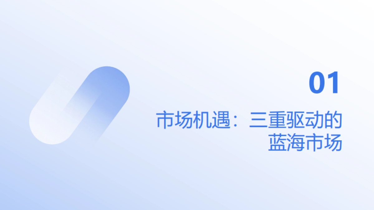 2025家用转轮除湿机专业营销方案_第4页
